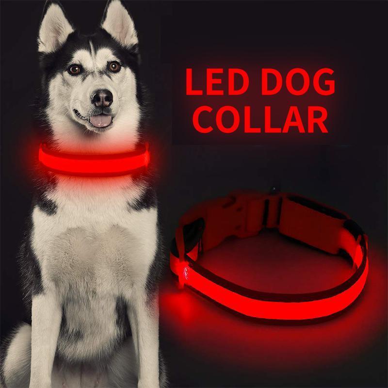 SafeGlow™ Hundehalsband für angstfreie Nachtspaziergänge