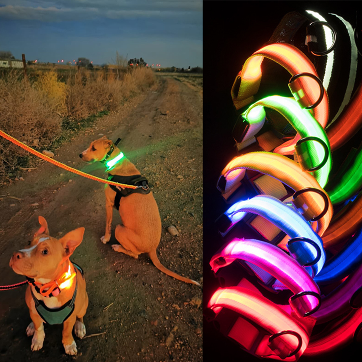 SafeGlow™ Hundehalsband für angstfreie Nachtspaziergänge