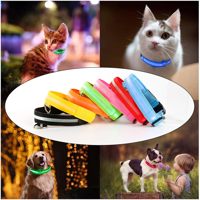 SafeGlow™ Hundehalsband für angstfreie Nachtspaziergänge