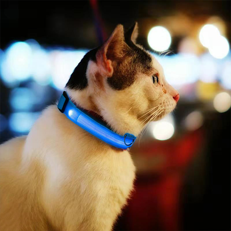 SafeGlow™ Hundehalsband für angstfreie Nachtspaziergänge