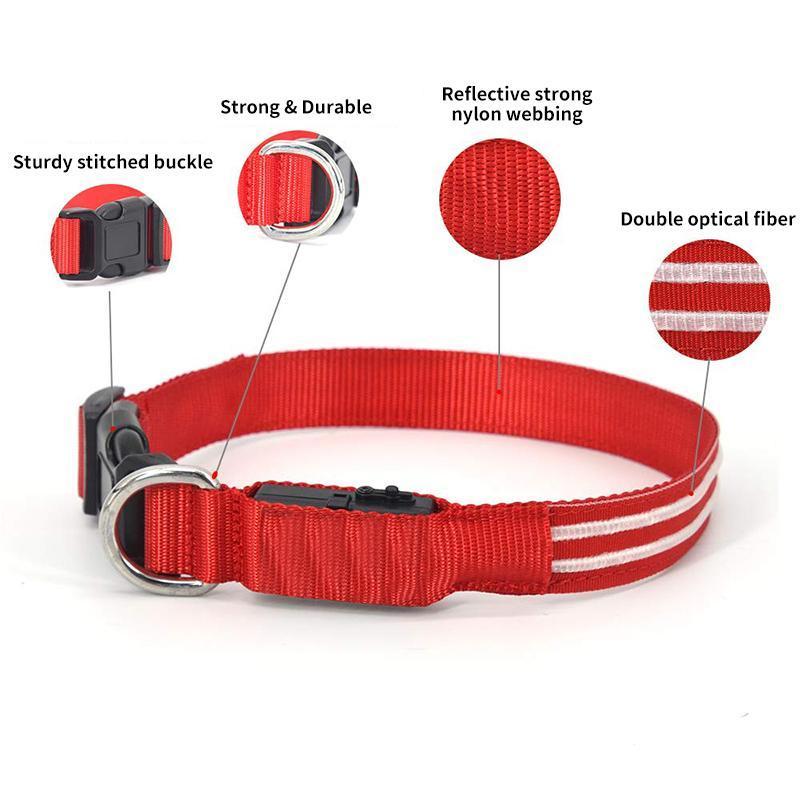 SafeGlow™ Hundehalsband für angstfreie Nachtspaziergänge