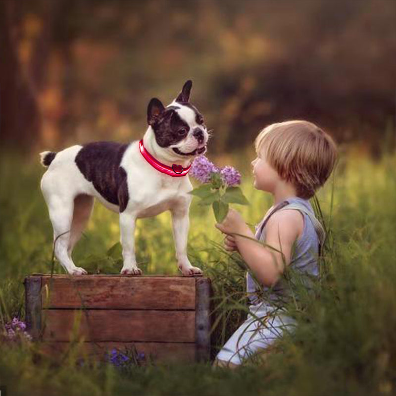 SafeGlow™ Hundehalsband für angstfreie Nachtspaziergänge