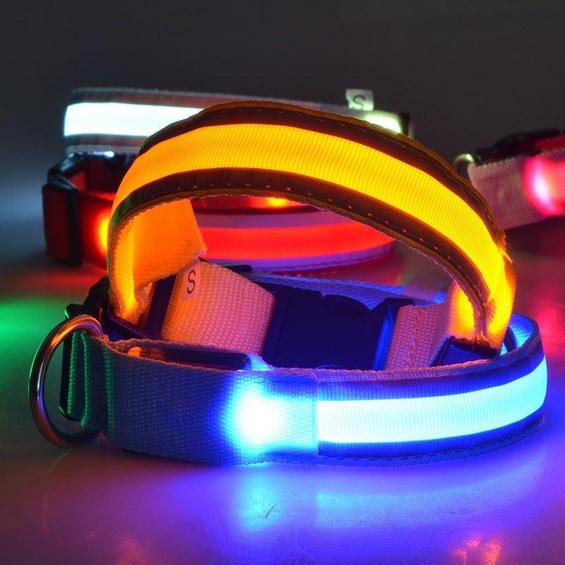 SafeGlow™ Hundehalsband für angstfreie Nachtspaziergänge