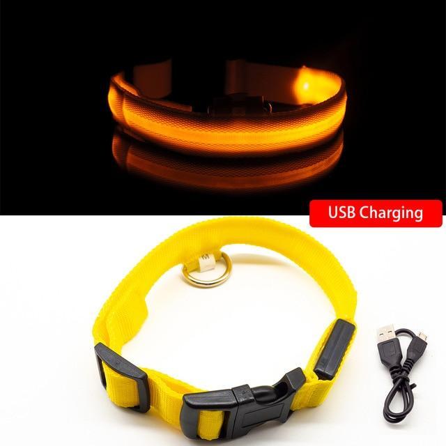 SafeGlow™ Hundehalsband für angstfreie Nachtspaziergänge