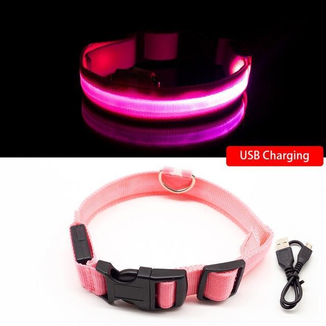 SafeGlow™ Hundehalsband für angstfreie Nachtspaziergänge