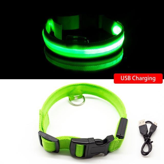 SafeGlow™ Hundehalsband für angstfreie Nachtspaziergänge