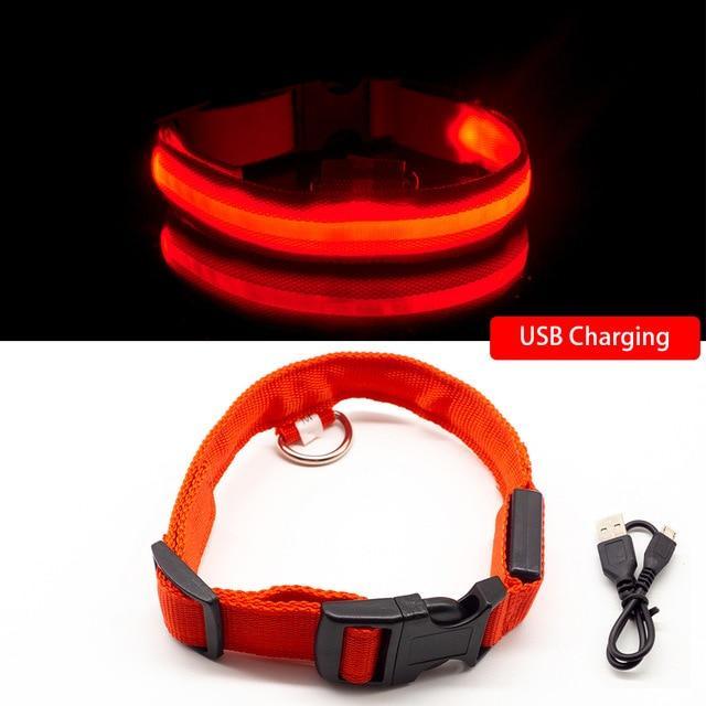 SafeGlow™ Hundehalsband für angstfreie Nachtspaziergänge